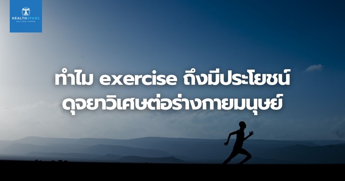 ทำไม exercise ถึงมีประโยชน์ดุจยาวิเศษต่อร่างกายมนุษย์